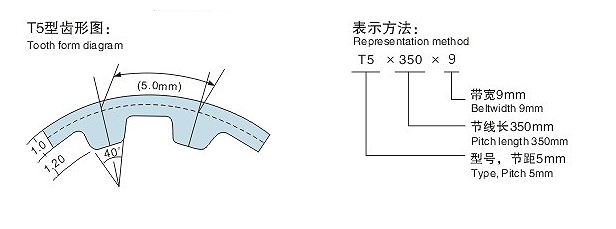 T5ͬͼ