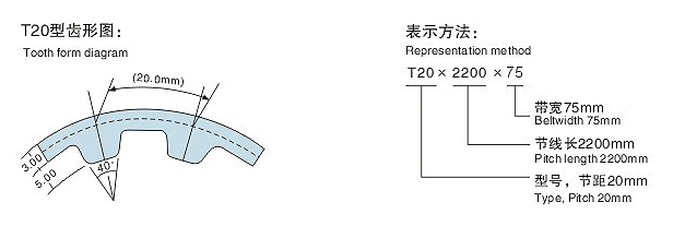 T20ͬͼ
